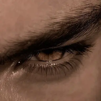 Profile image of Luka