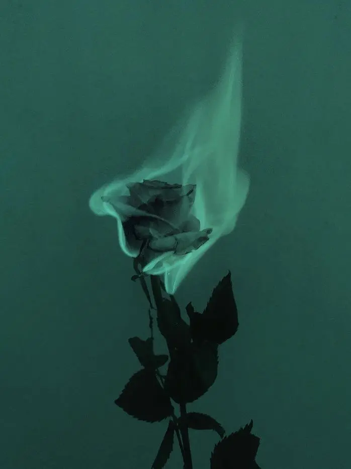 coldmyeon777의 아낙사