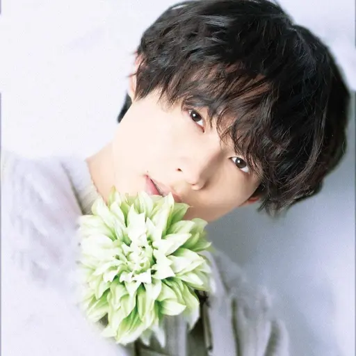 Shinok24의 北斗