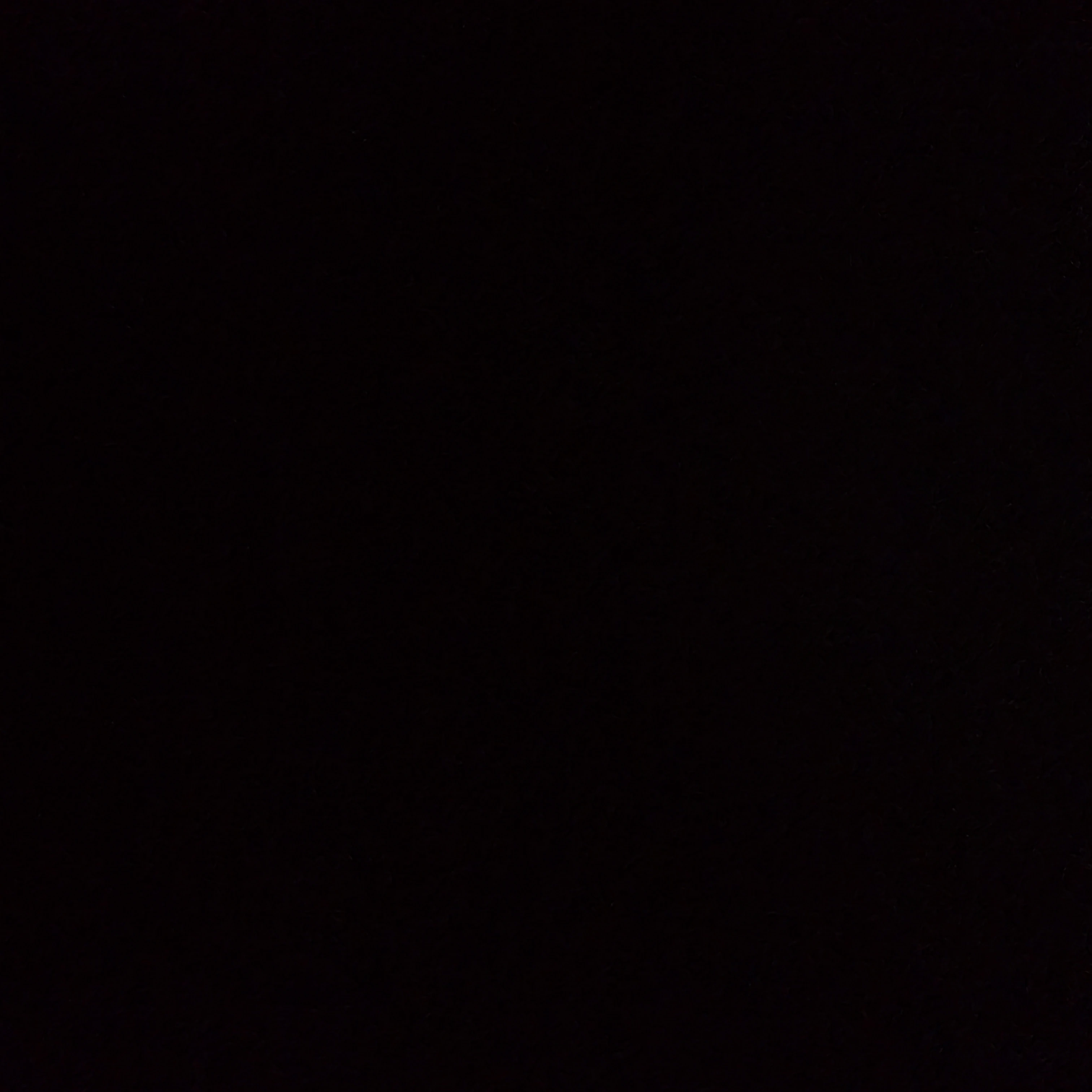 김동현