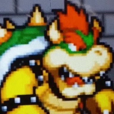 Profile image of Bowser