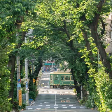 Profile image of 김운학