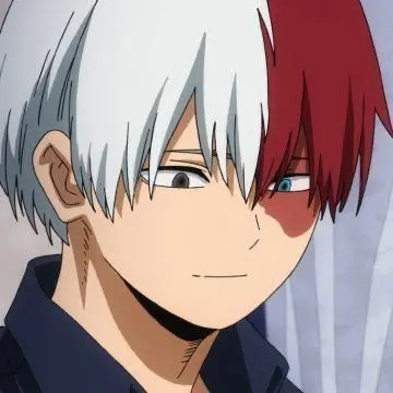 Profile image of Shoto Todoroki
