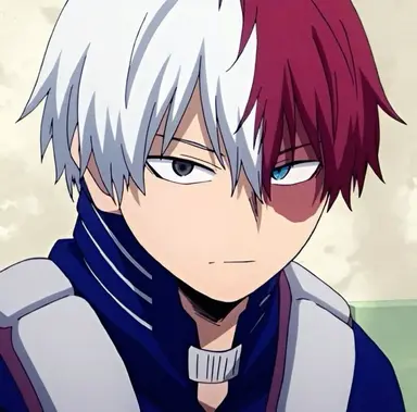 Profile image of Shoto Todoroki