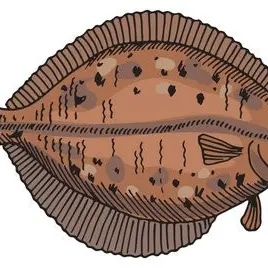 Profile image of 넙치