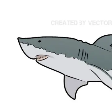 Profile image of 상어