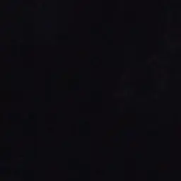 Dnsl의 M