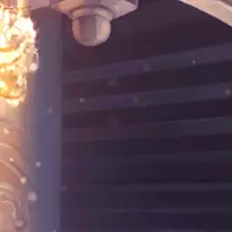 Profile image of シスイ