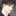 김도현