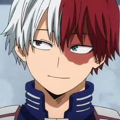 Profile image of Shoto Todoroki