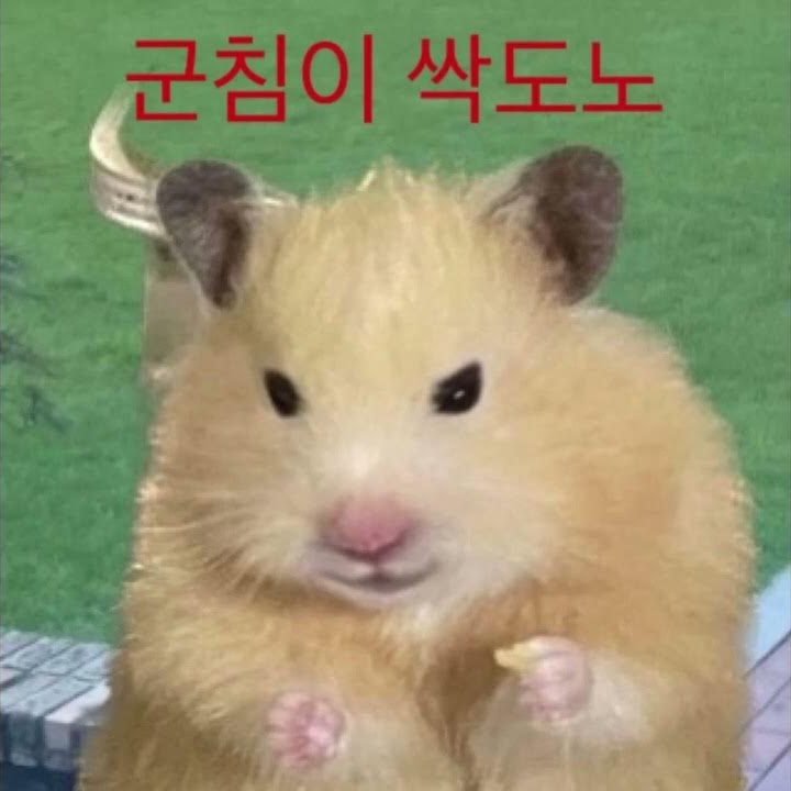 고고프렌즈 아이돌 (여우있 대표 이미지