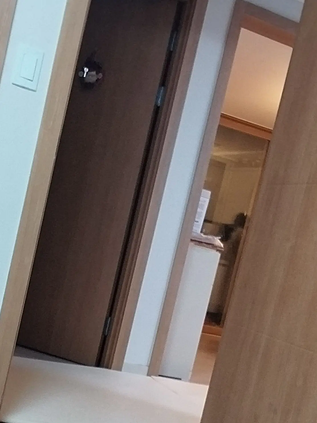 SoftTick9798의 꽥고팀미(여우×늑대)