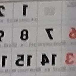 Profile image of 고팀꽥미 여우 늑대