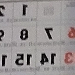 고팀꽥미 여우 늑대