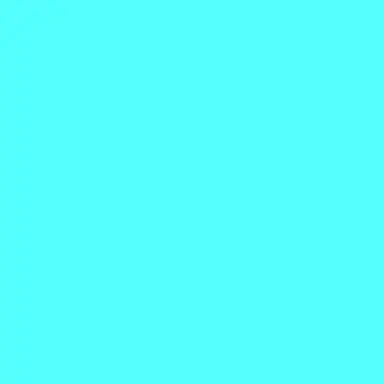 Profile image of ターコ