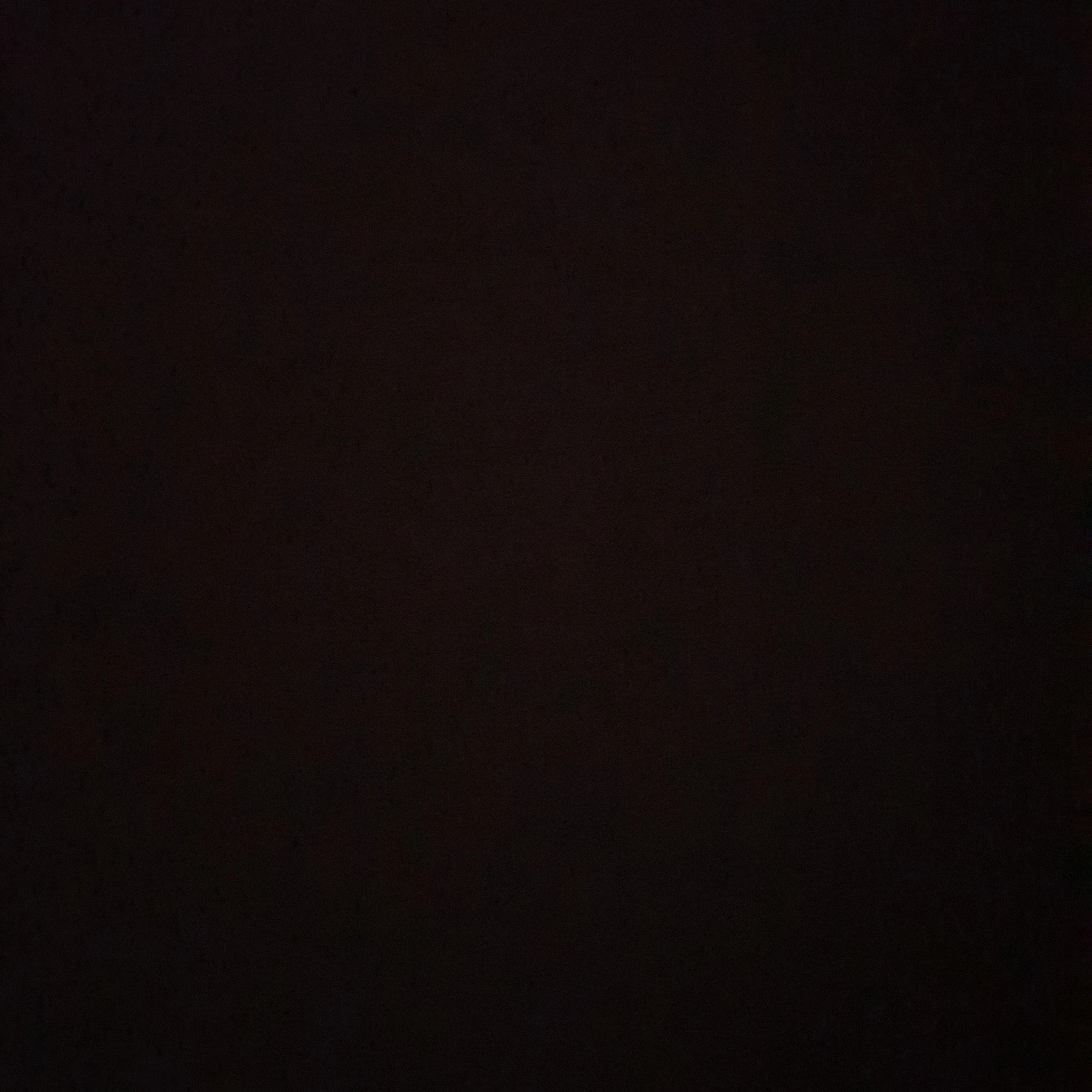 여우