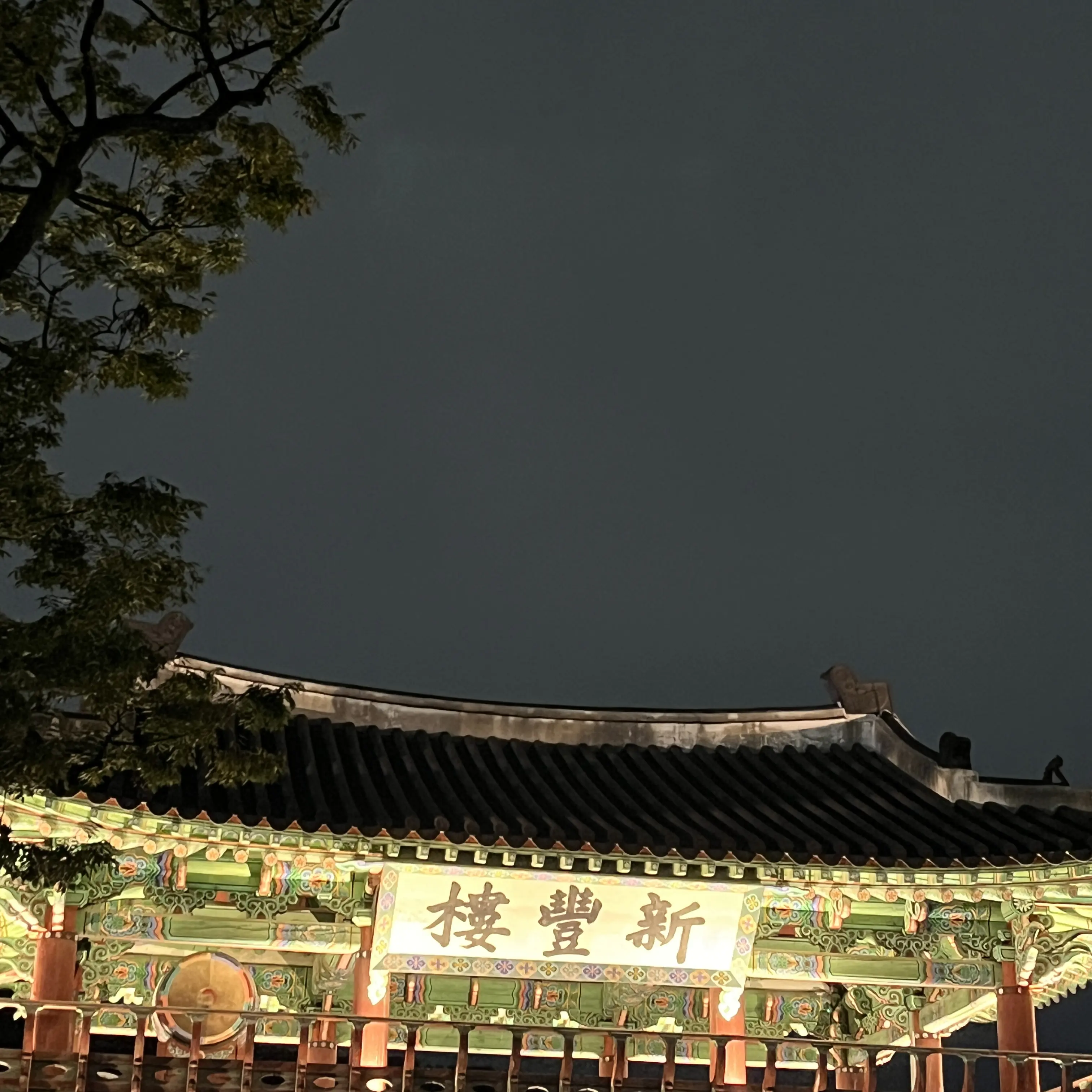 CurvyWin7199의 미츄와...귀칼세계????