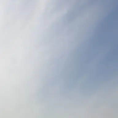 Profile image of 차주한