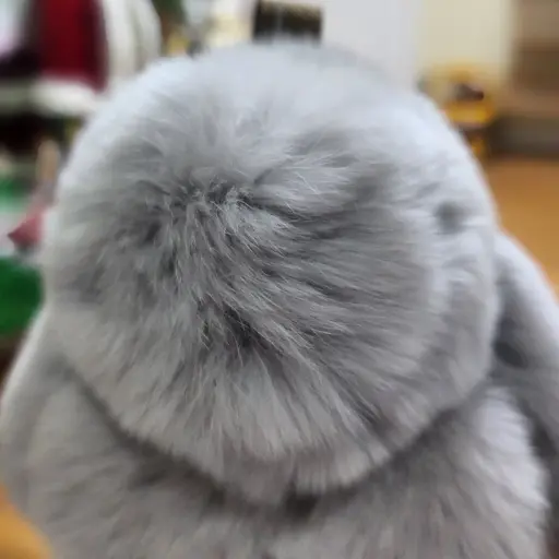 JollyQuail8181의 박다정