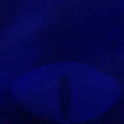 Shemill의 쉐도우밀크