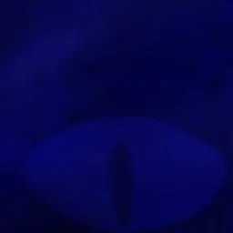 쉐도우밀크