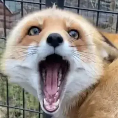 Profile image of Yeou