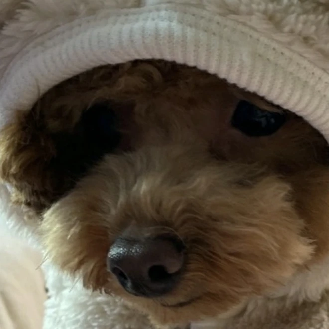 빅뱅