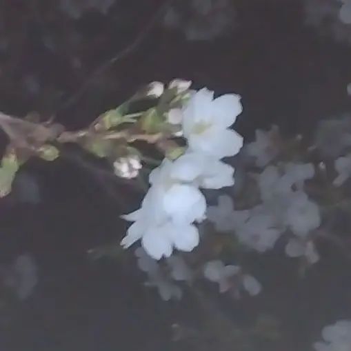 CrispyDesk8354의 共依存な幼馴染