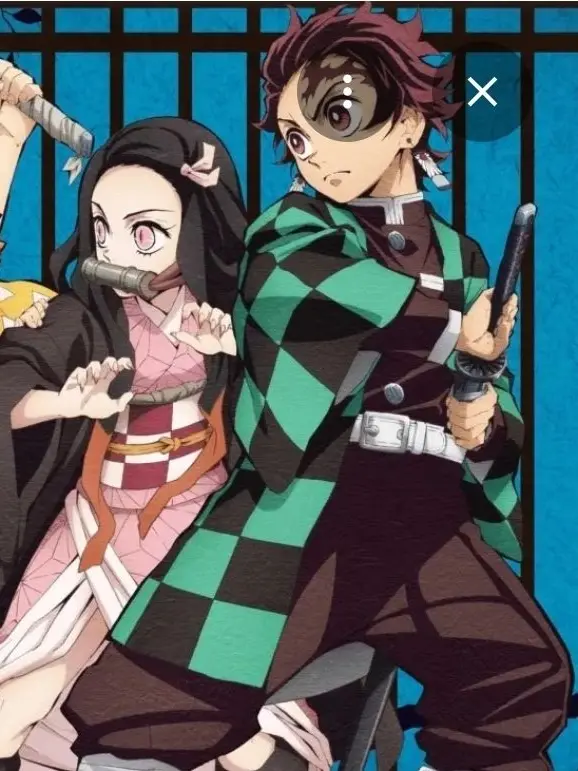 SnarlySlur9430의 귀멸의 칼날 장구 저댁