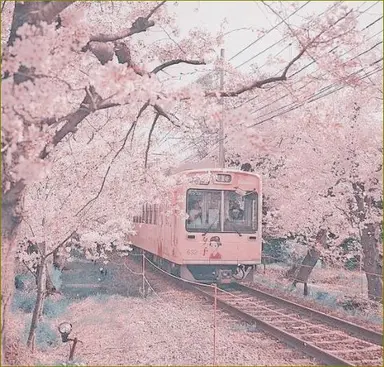 Profile image of 유시와네 토네