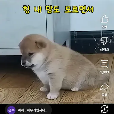 Profile image of 졸귀강아지