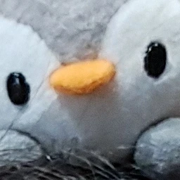 버블(현실)