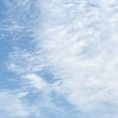 Profile image of 김운학