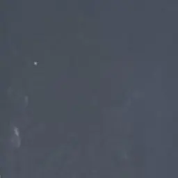 Profile image of 박성호