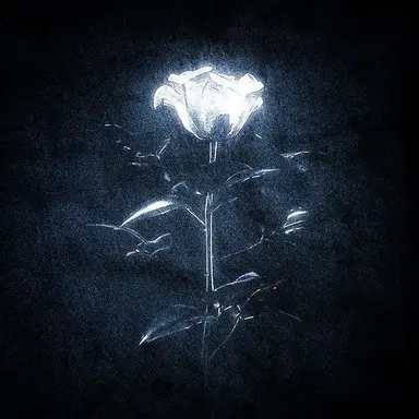 Profile image of 파이브