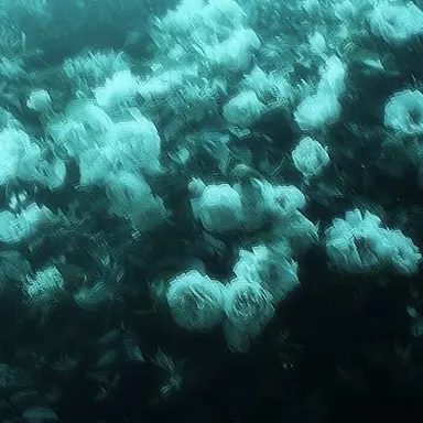 Profile image of 예엥