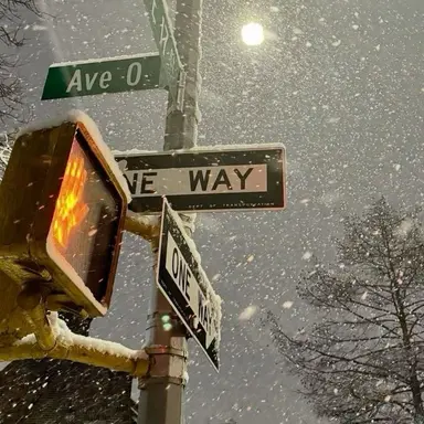 Profile image of 유지민