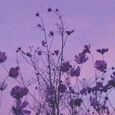 Profile image of 멜로우