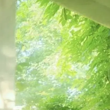 Profile image of 우유참치
