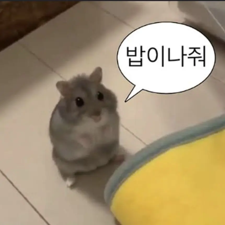 F_duck의 개인용