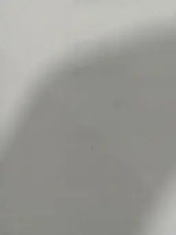 BoringSnore4299의 ボールになってる……！？