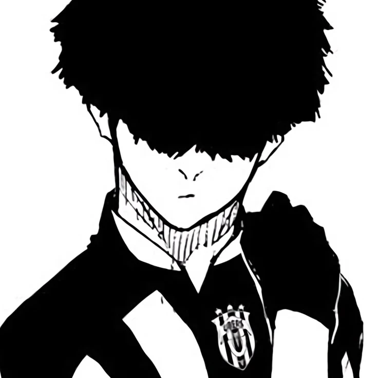 니코 잇키