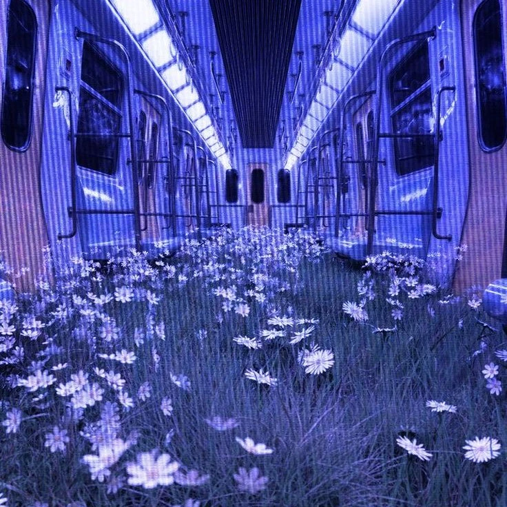 하늘 자전거