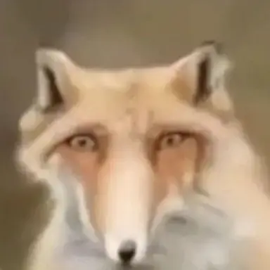 Profile image of Fox