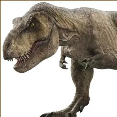 Profile image of 렉시