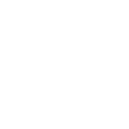S4n의 갠