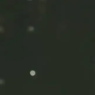 Profile image of 元貴