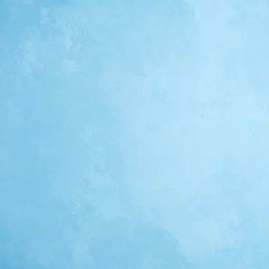 Profile image of 莉沙