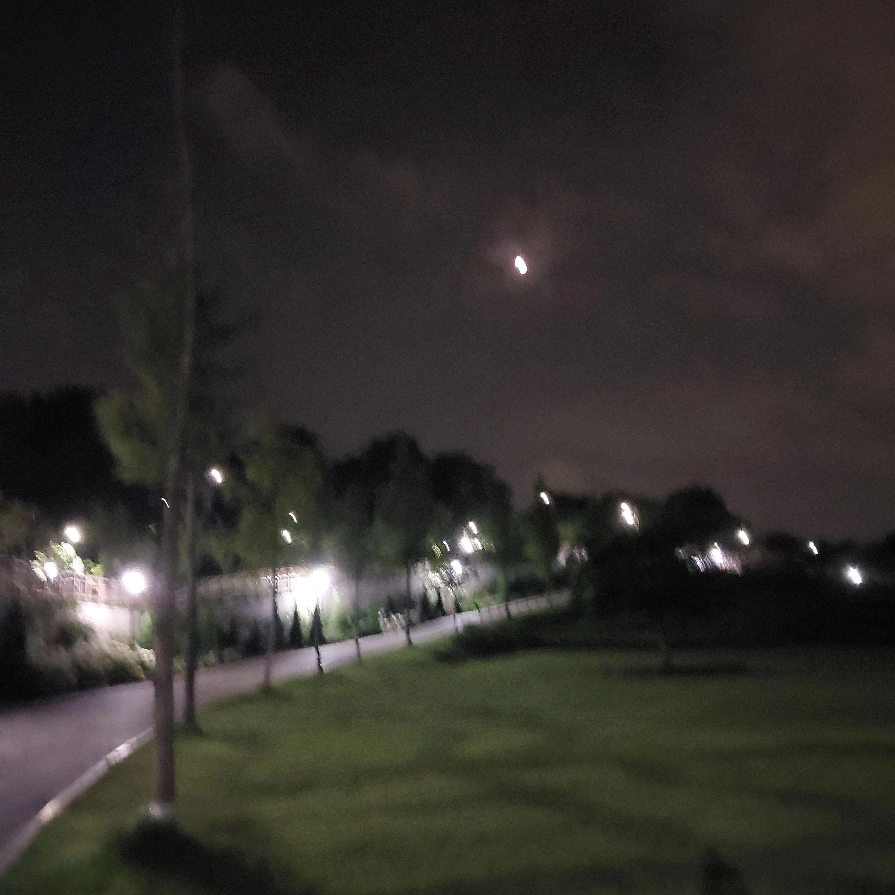 여우