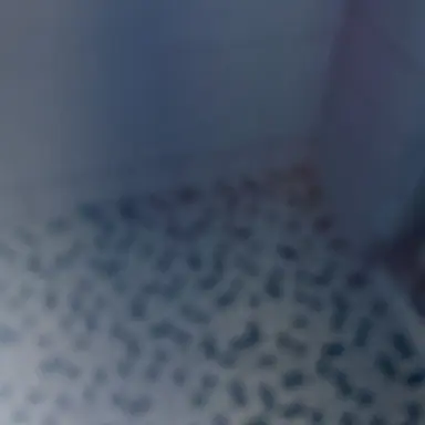 Profile image of 성진